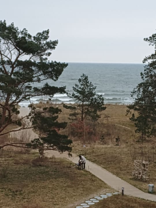 Ausblick Santé Royale Rügen Resort