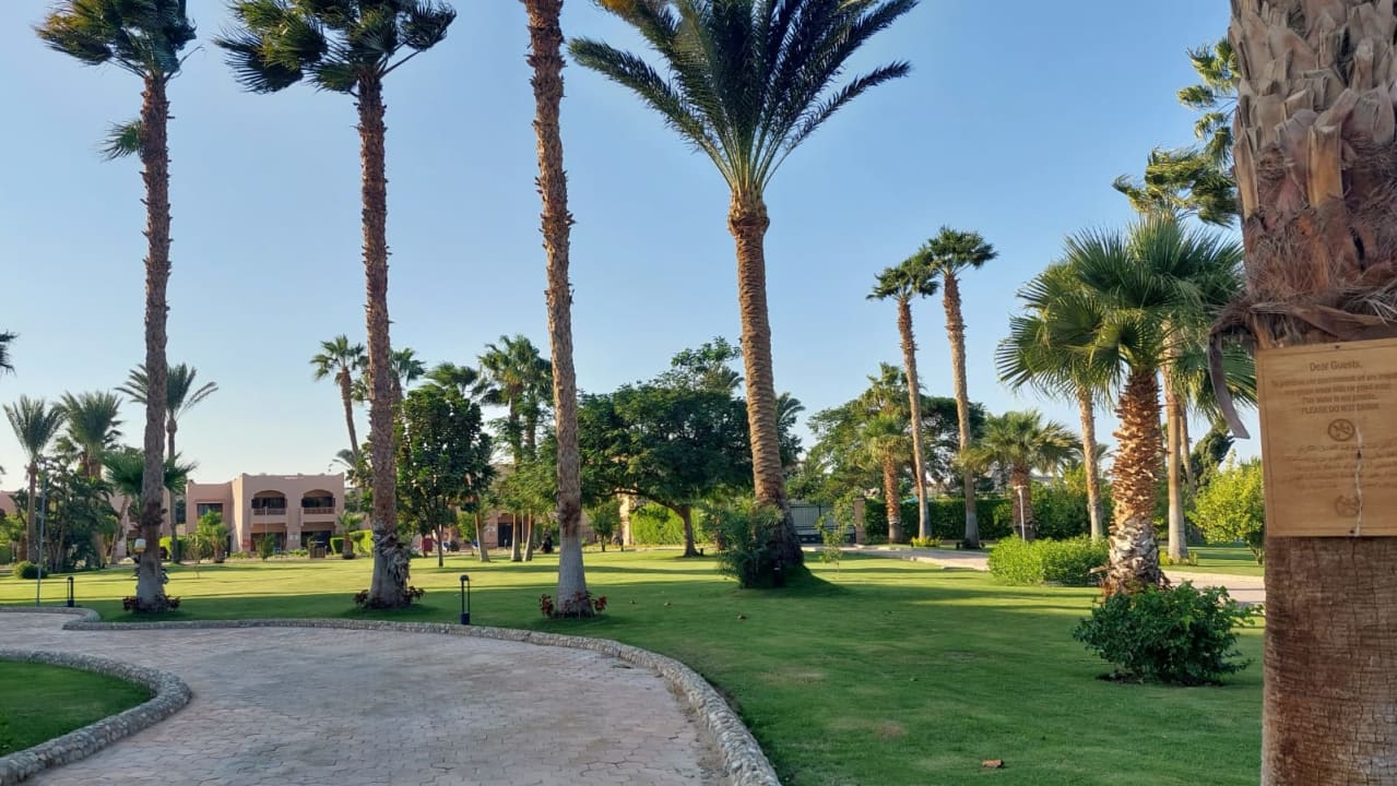 Gartenanlage Continental Hotel Hurghada