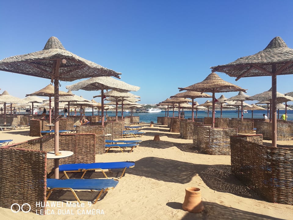 Strand Jaz Makadi Oasis Resort