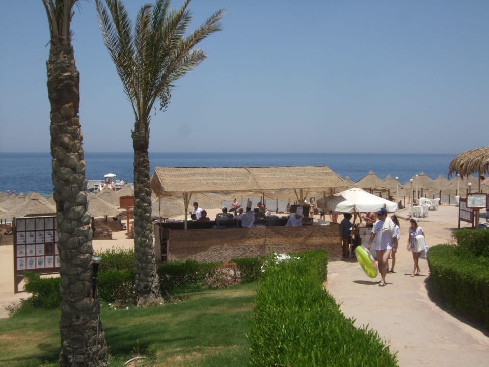 Snacks am Strand... Serenity Alpha Beach