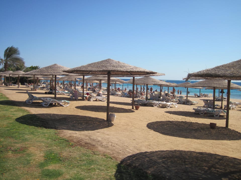 Sehr schöner Strand Fort Arabesque Resort, Spa & Villas