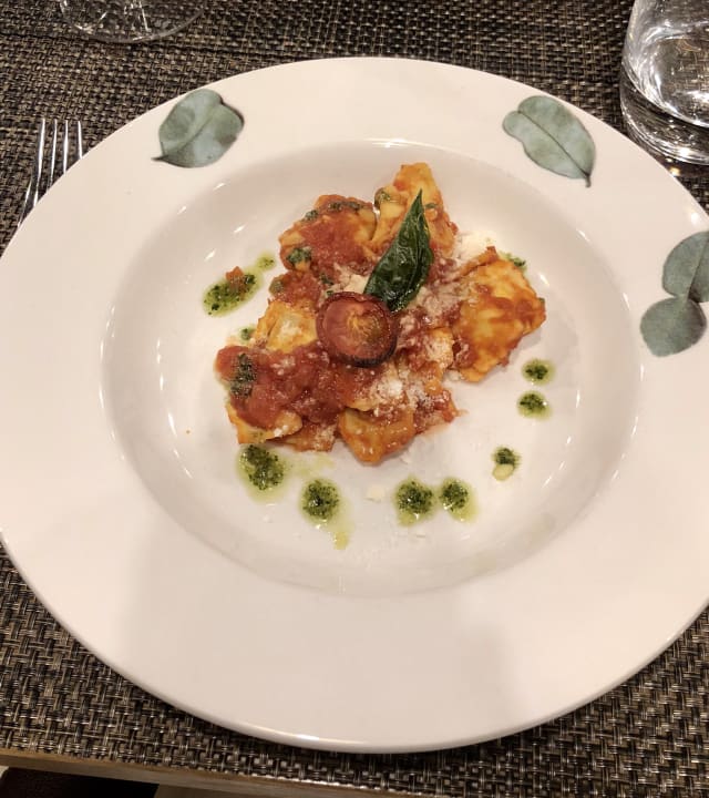 Gastro Acanthus Cennet Barut Collection