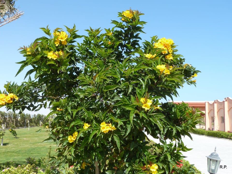 Schön Three Corners Happy Life Beach Resort