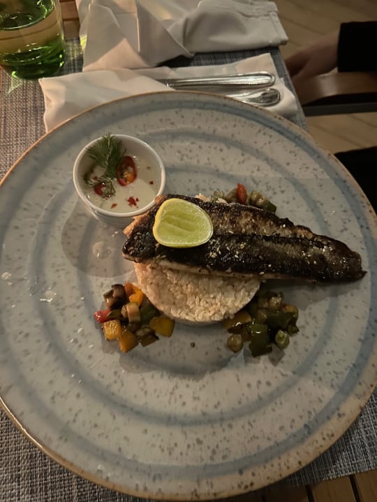 Gastro JAZ Elite Amara