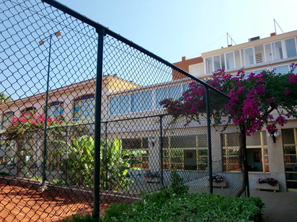 Rezeption, Frühstück und Abendbrot Club Simó Hotel by Senator