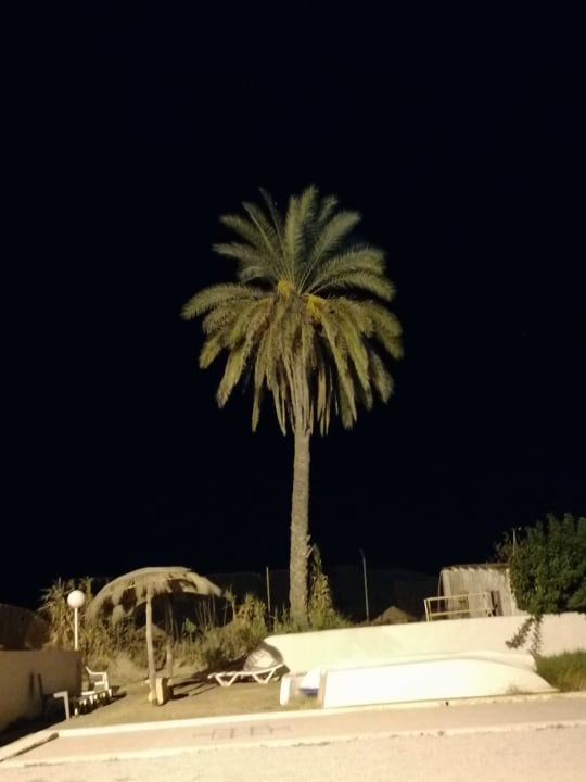 Ausblick Hotel El Mouradi Skanes Beach