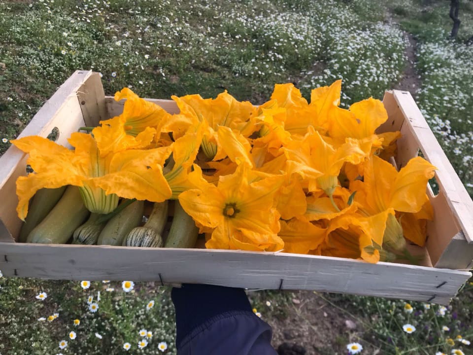 Gartenanlage Agriturismo Podere Pansera