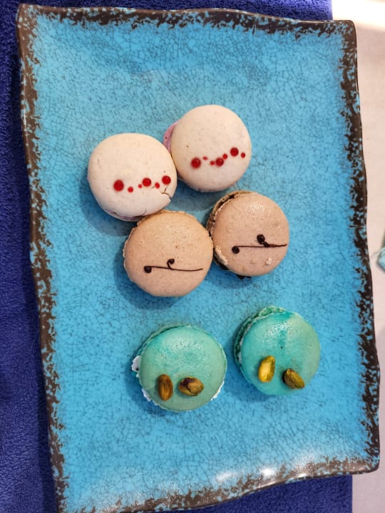 Gastro CM Playa del Moro