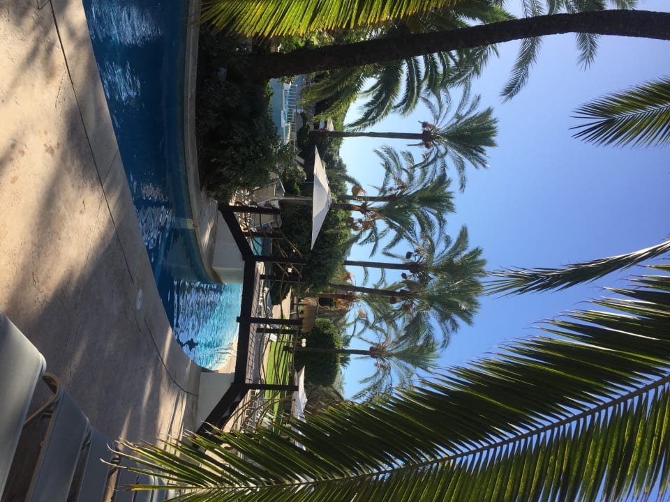 Pool Prinsotel La Dorada