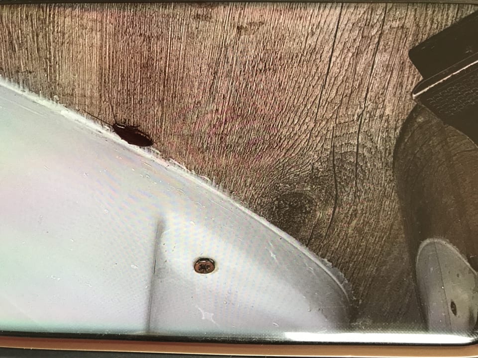 Zimmer La Pirogue Mauritius