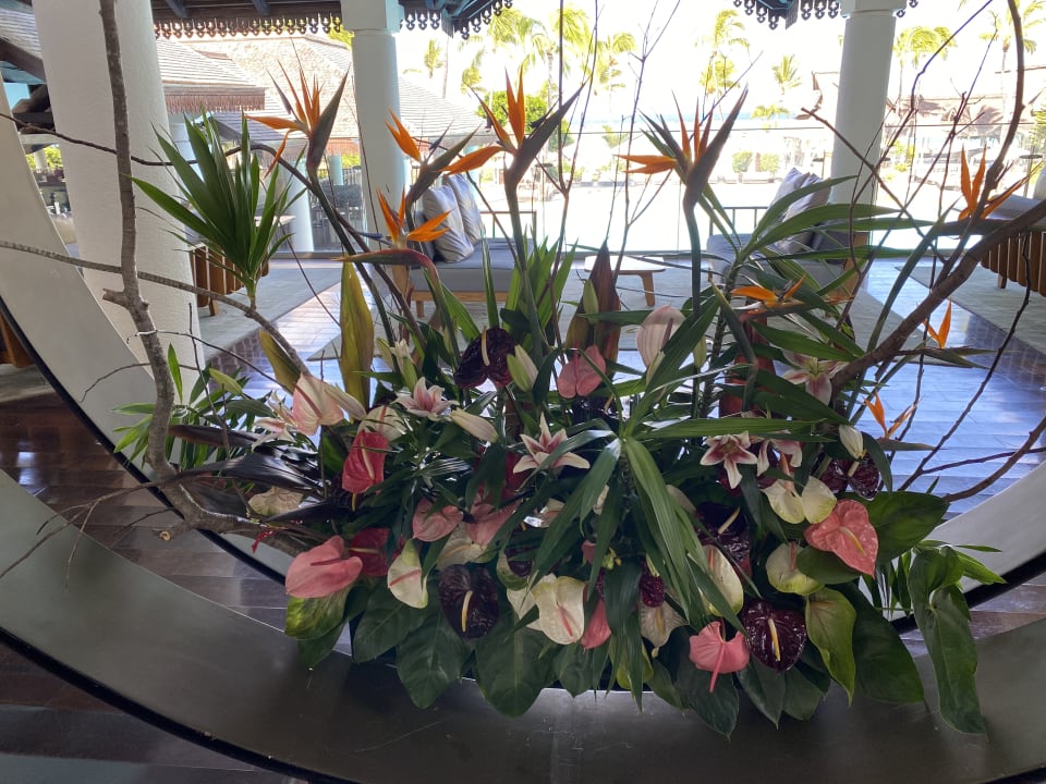 Sonstiges Sofitel Imperial Resort & Spa