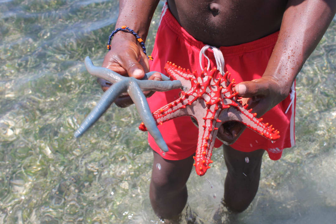 Seesterne Baobab Beach Resort & Spa