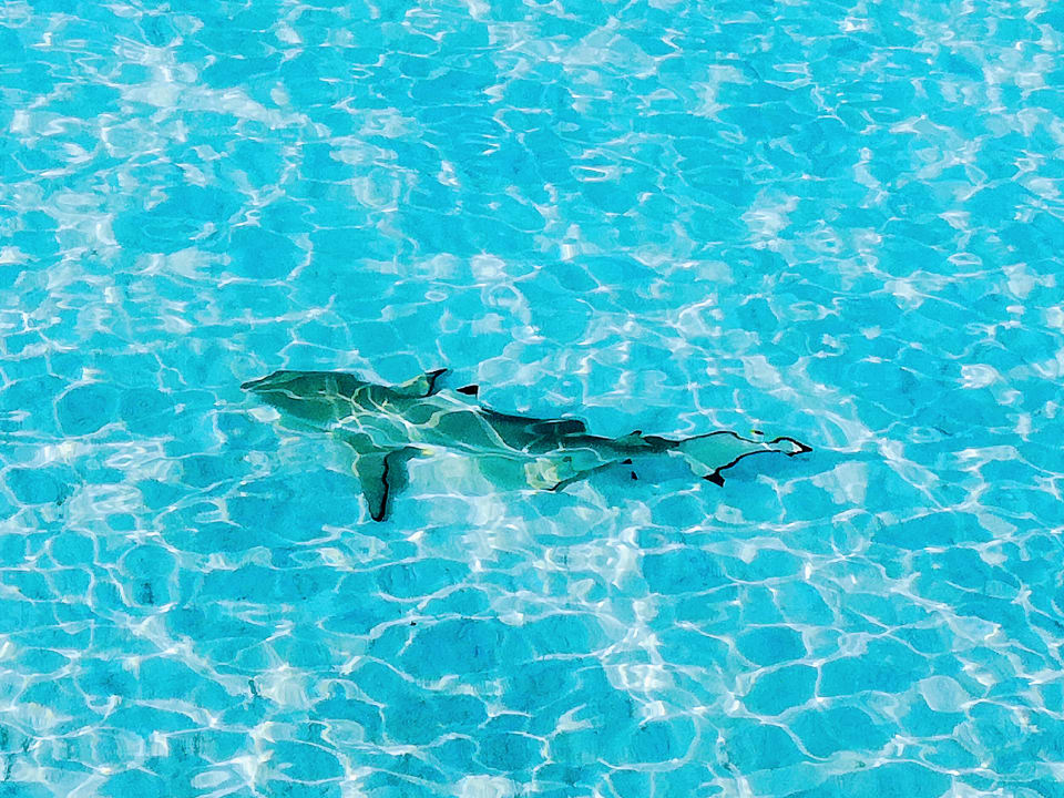 Strand Summer Island Maldives