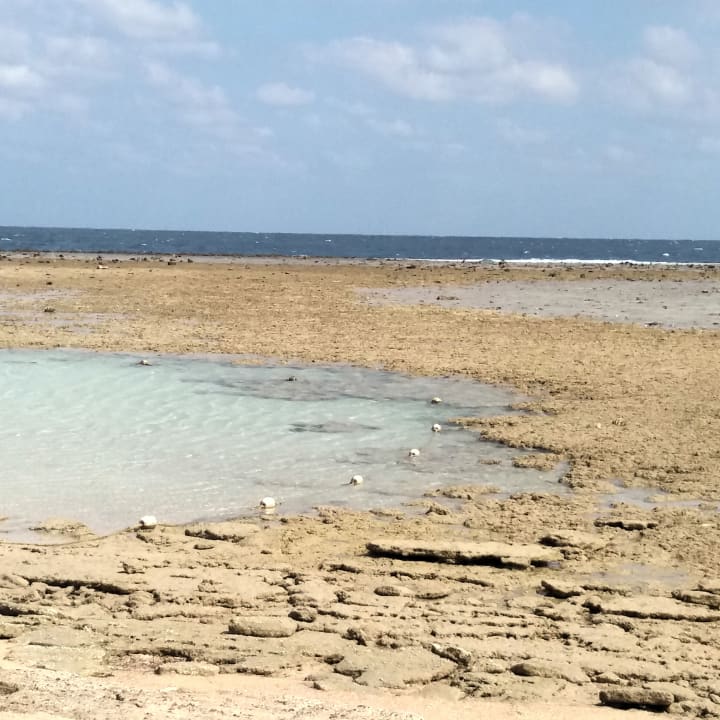 Strand Fantazia Resort Marsa Alam