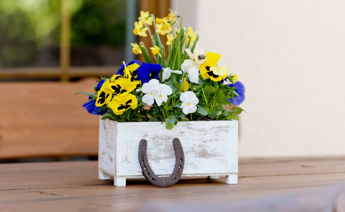 Gartenanlage Hotel Potsdam am Katharinenholz