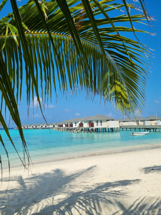 Außenansicht NH Collection Maldives Havodda Resort