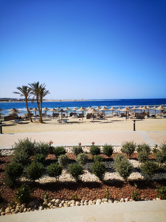 Strand Malikia Resort Abu Dabbab