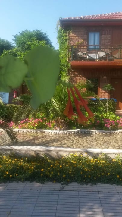 Familienzimmer am BAchlauf Can Garden Beach