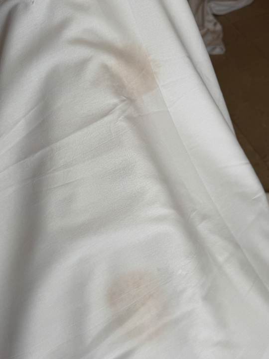 Zimmer Hotel Riu Palace Santa Maria