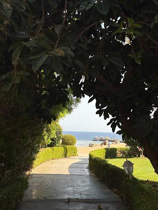 Gartenanlage TUI MAGIC LIFE Kalawy