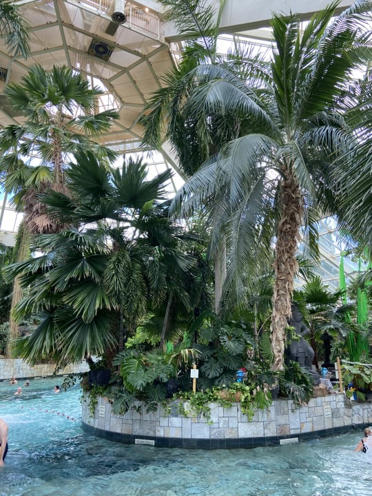 Pool Center Parcs De Eemhof