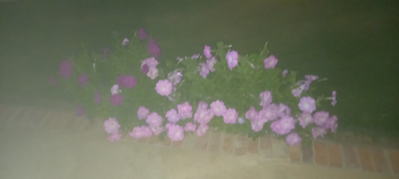 Gartenanlage Casa Mare Resort