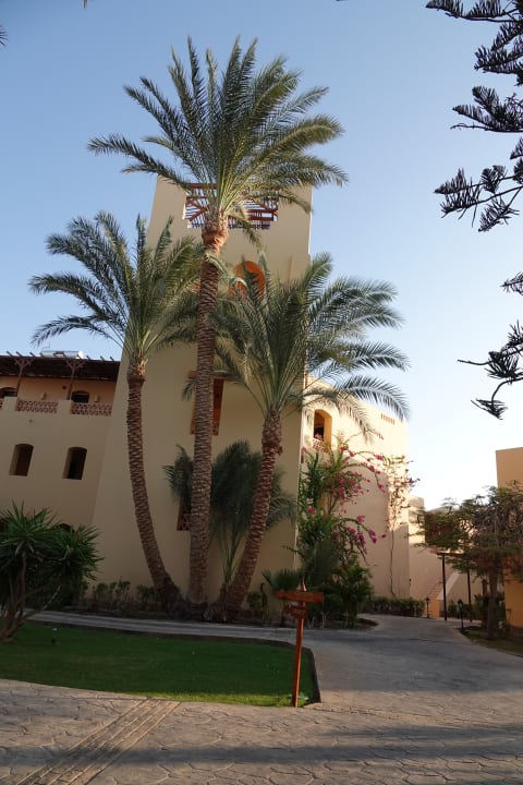 Gartenanlage Steigenberger Coraya Beach - Adults only