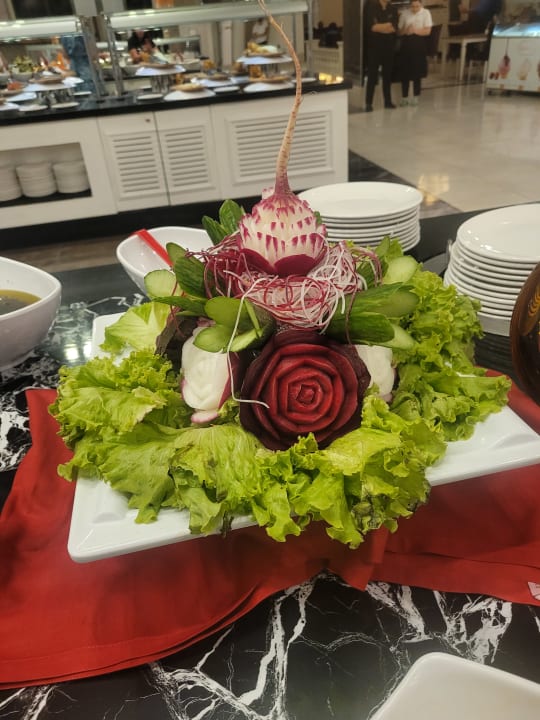 Gastro Well Palace Side