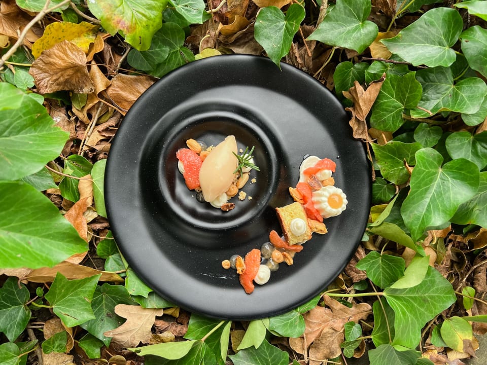 Gastro Hotel Schloss Wartegg