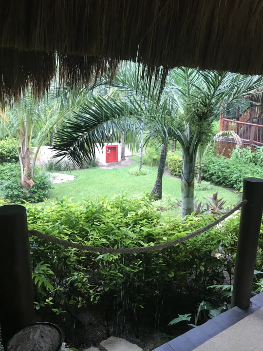 Gartenanlage Akumal Bay Beach & Wellness Resort