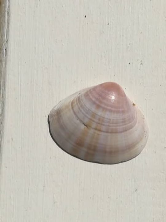 Strand Anemos Luxury Grand Resort