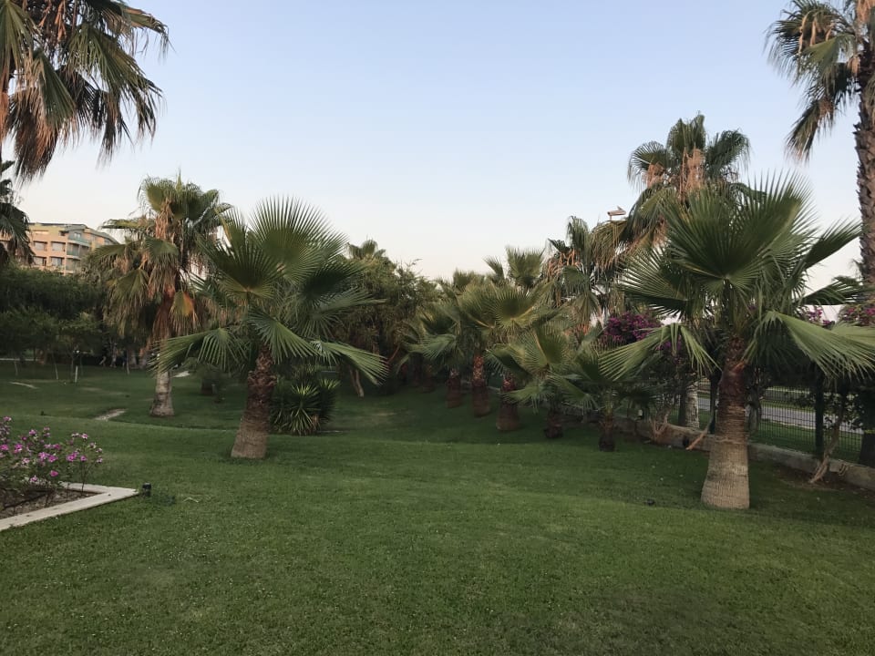 Gartenanlage VONRESORT Golden Coast