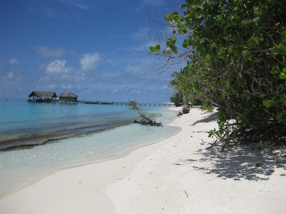 Strand nach rechts von Bungalow 93 Palm Beach Resort & Spa Maldives