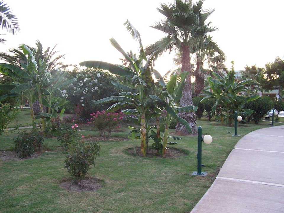 Impressionen 2009 VONRESORT Golden Coast