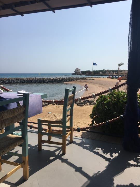 Ausblick Desert Rose