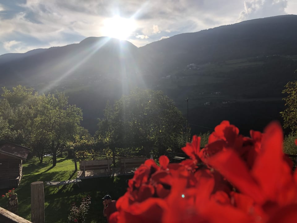Ausblick Pension Troglerhof