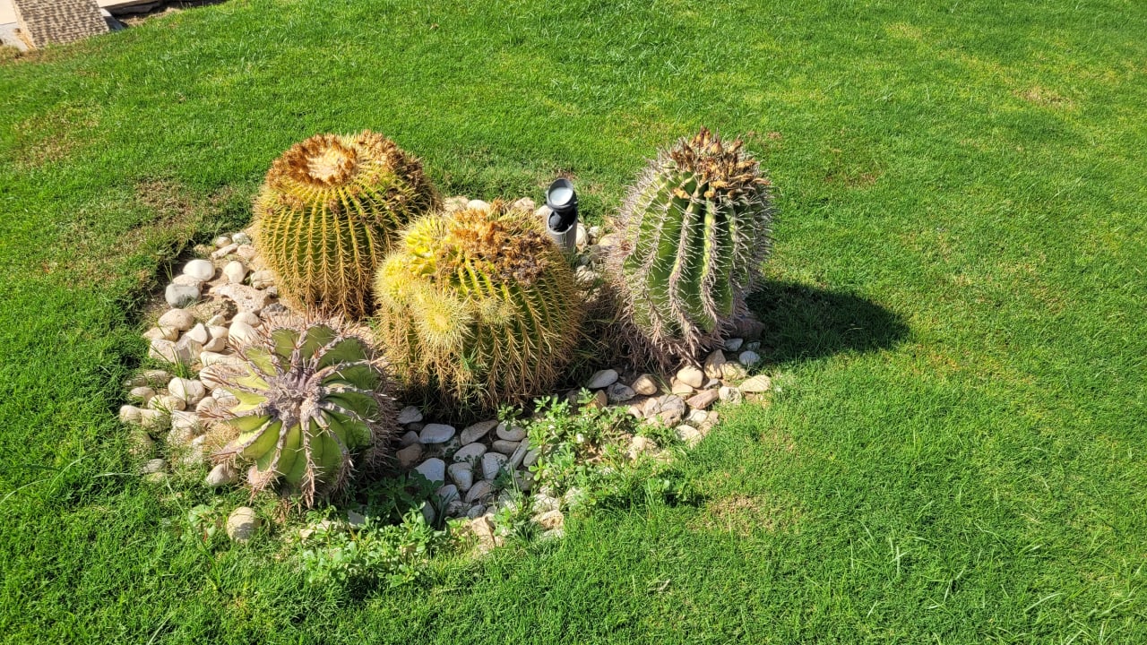 Gartenanlage Shams Prestige Abu Soma-Adults Only