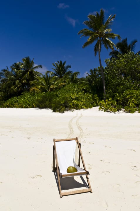 Coconut relaxing Mirihi Island Resort