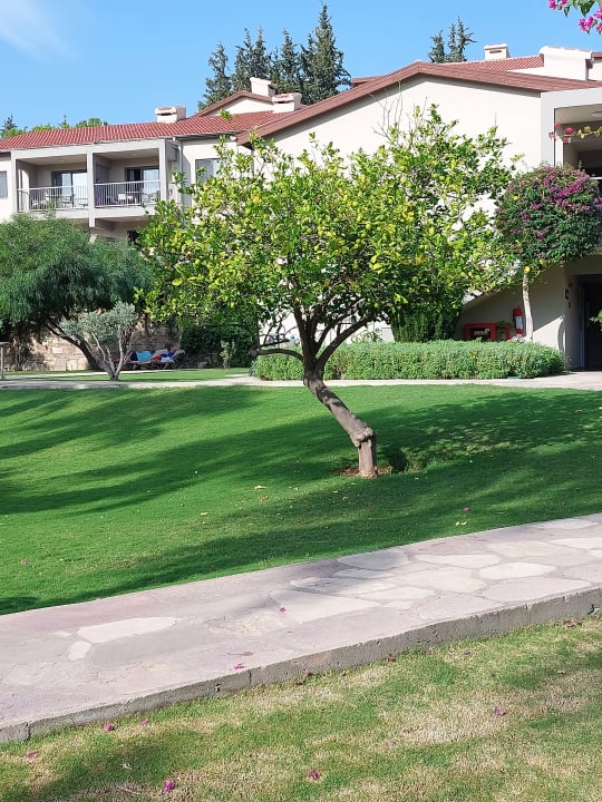Gartenanlage Arum Barut Collection