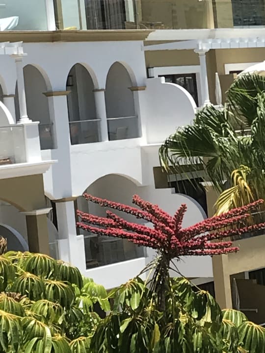 Ausblick Adrián Hoteles Jardines de Nivaria