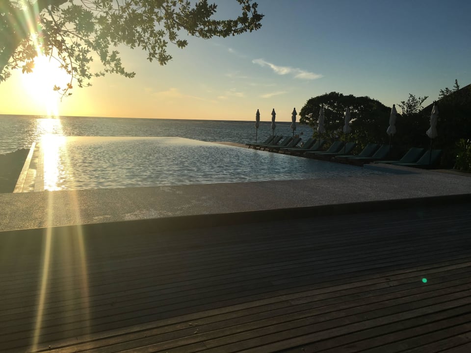 Infinity Pool Summer Island Maldives
