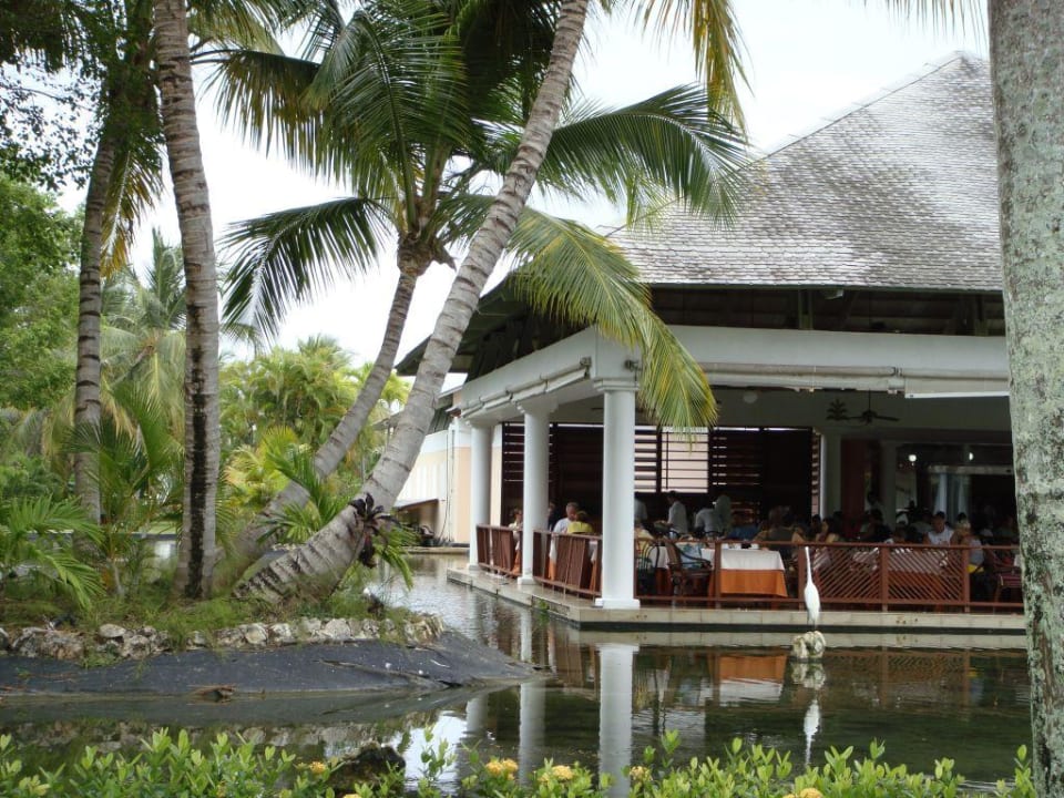Restauracja Catalonia Punta Cana - All Inclusive
