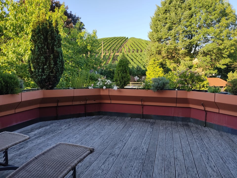 Ausblick Hotel Restaurant Rebstock Durbach