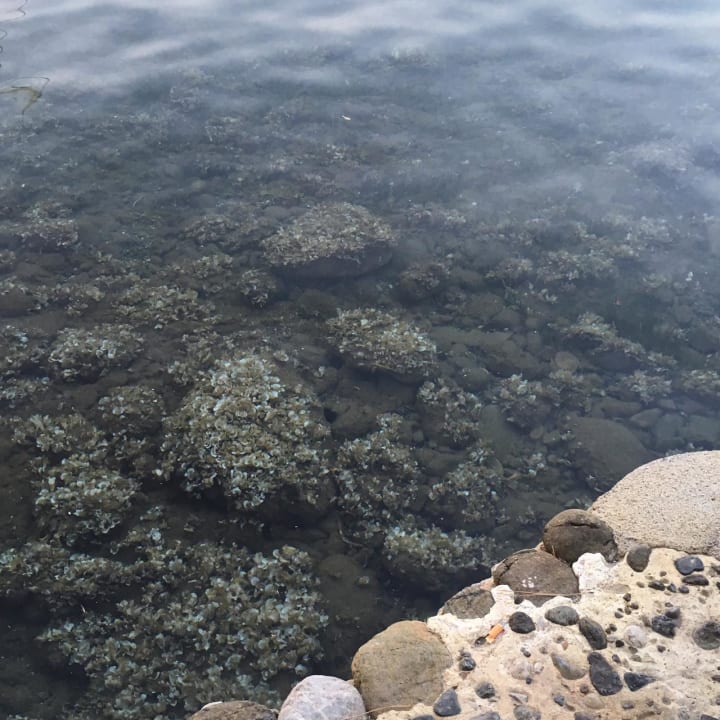 Strand Labranda Mares Marmaris