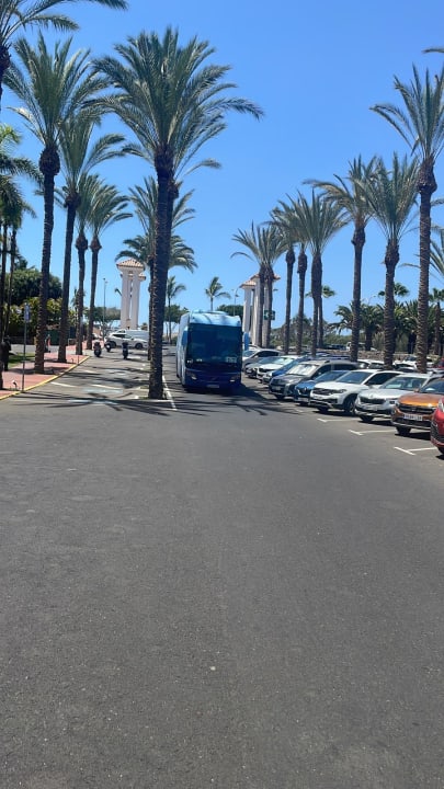 Sonstiges Maspalomas Princess & Tabaiba Princess