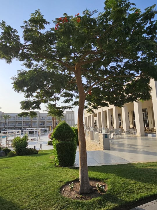 Außenansicht Jaz Aquaviva