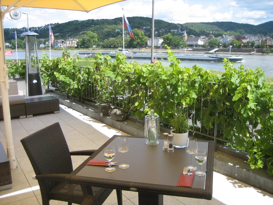 Rheinblick von der Terrasse RheinHotel ARTE