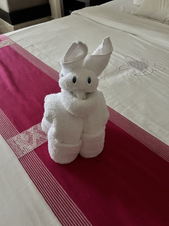 Zimmer Akumal Bay Beach & Wellness Resort