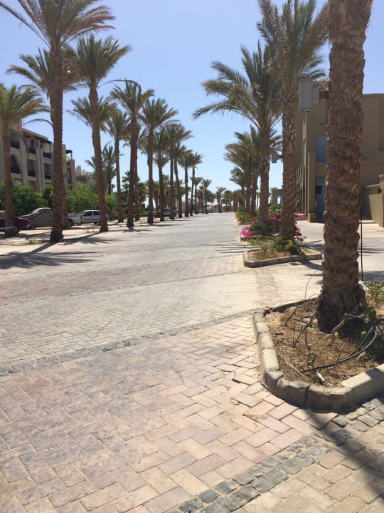 Strand Marina Resort Port Ghalib, a member of Radisson Individuals
