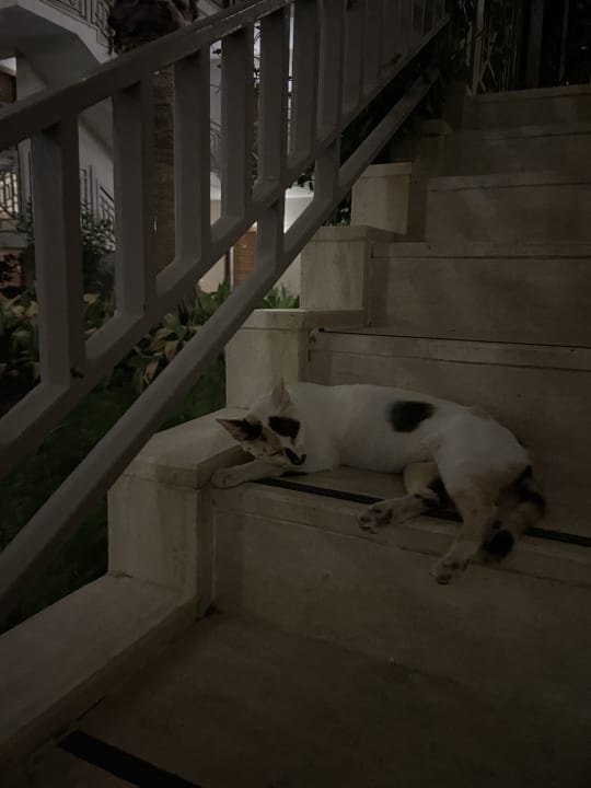 Außenansicht Sunis Elita Beach Resort & Spa